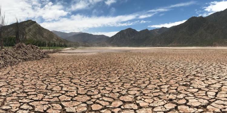 ¡Falta el agua! “Está mal pensar que este es un problema solo de los regantes”, dice la experta Marcela Andino