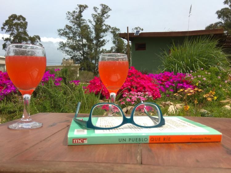 De Piriápolis al mundo: una búsqueda personal que se transformó en negocio sostenible