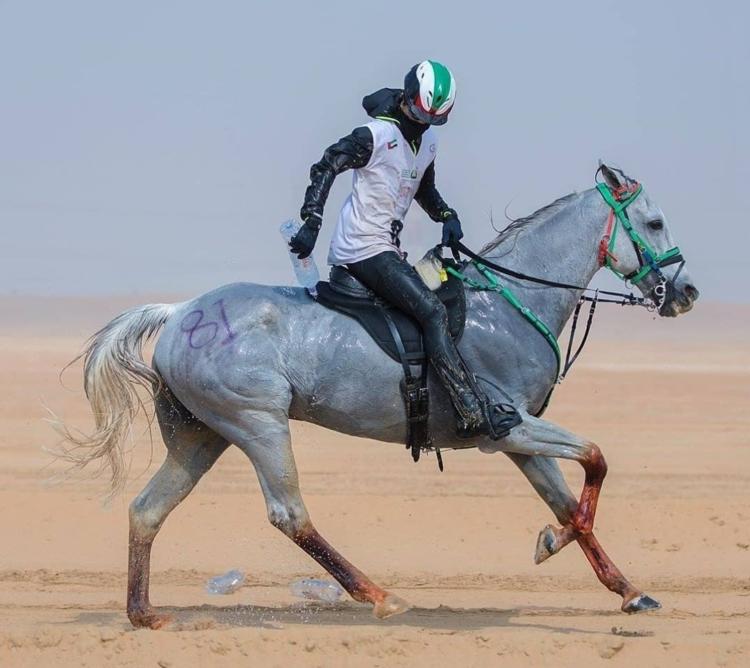 Nina Pichelli cría caballos de alta competencia y los vende a Emiratos Árabes: “Argentina se ubica en el mercado del Endurance con genética premium”