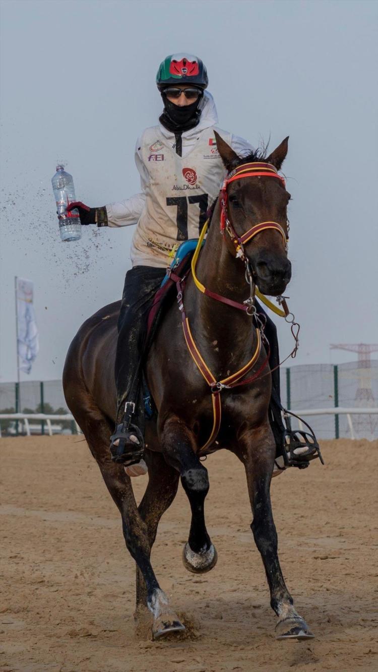 Nina Pichelli cría caballos de alta competencia y los vende a Emiratos Árabes: “Argentina se ubica en el mercado del Endurance con genética premium”