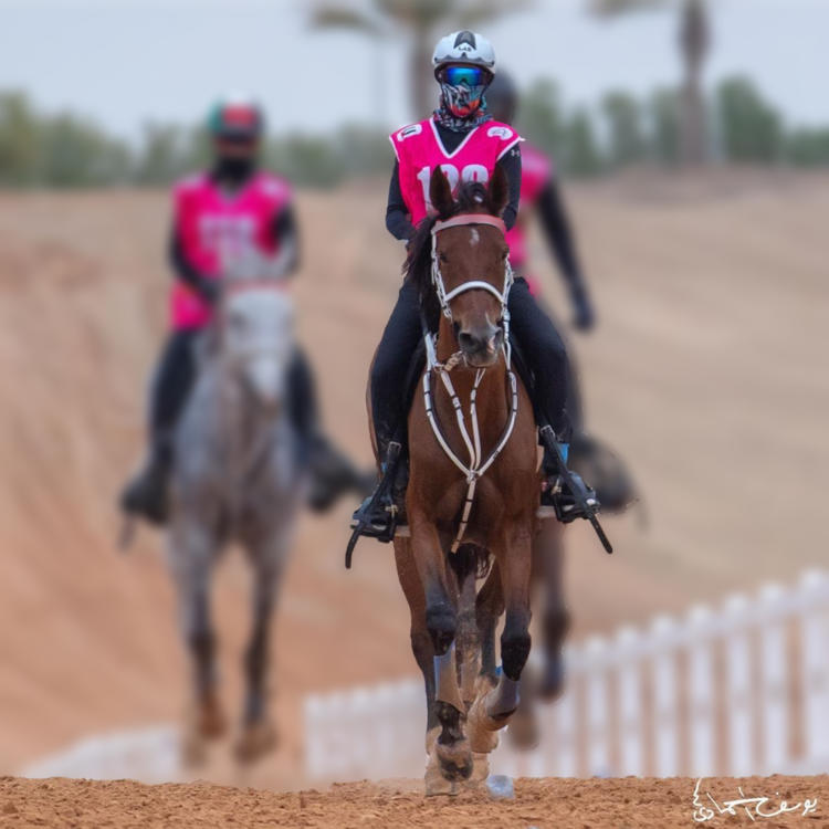 Nina Pichelli cría caballos de alta competencia y los vende a Emiratos Árabes: “Argentina se ubica en el mercado del Endurance con genética premium”