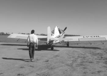 Langostas: Senasa recurrió a los aviones agrícolas para seguirlas y combatirlas antes del amanecer