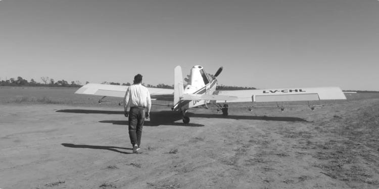 Langostas: Senasa recurrió a los aviones agrícolas para seguirlas y combatirlas antes del amanecer