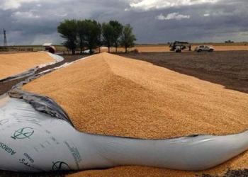 A Franco Brarda le rompieron dos silobolsas de maíz y dos de soja:  “Es un apriete para que le pidamos una mano al Gobierno”