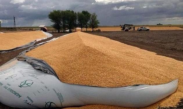 A Franco Brarda le rompieron dos silobolsas de maíz y dos de soja:  “Es un apriete para que le pidamos una mano al Gobierno”