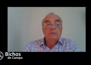 A Jorge Grant le robaron 150 novillos en un año: Sigue apostando a la ganadería solo por respeto a sus antepasados