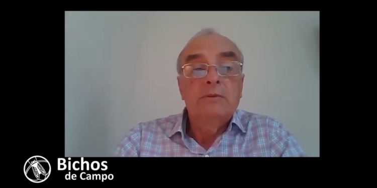 A Jorge Grant le robaron 150 novillos en un año: Sigue apostando a la ganadería solo por respeto a sus antepasados