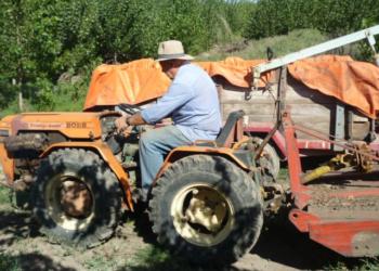 Sabores y saberes: En San Juan, Fermín Mut logró concretar el sueño de sus abuelos valencianos y elabora sus propios vinos