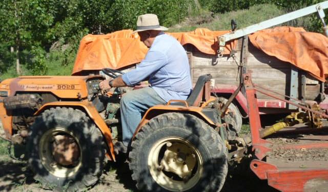 Sabores y saberes: En San Juan, Fermín Mut logró concretar el sueño de sus abuelos valencianos y elabora sus propios vinos