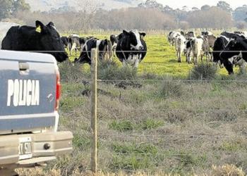 En Santa Fe “no hay productor que no haya sufrido algún hecho de inseguridad”, afirma Ignacio Mántaras