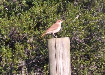 De Piriápolis al mundo: una búsqueda personal que se transformó en negocio sostenible