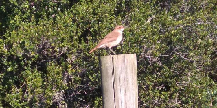 De Piriápolis al mundo: una búsqueda personal que se transformó en negocio sostenible