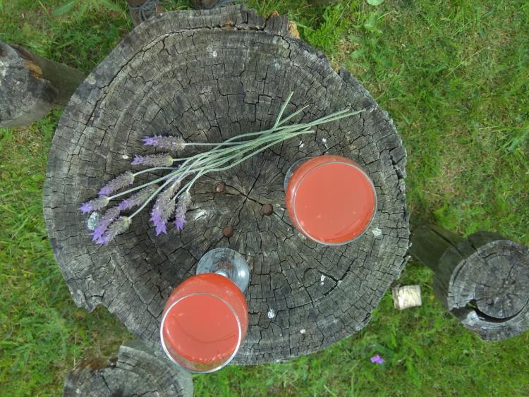 De Piriápolis al mundo: una búsqueda personal que se transformó en negocio sostenible