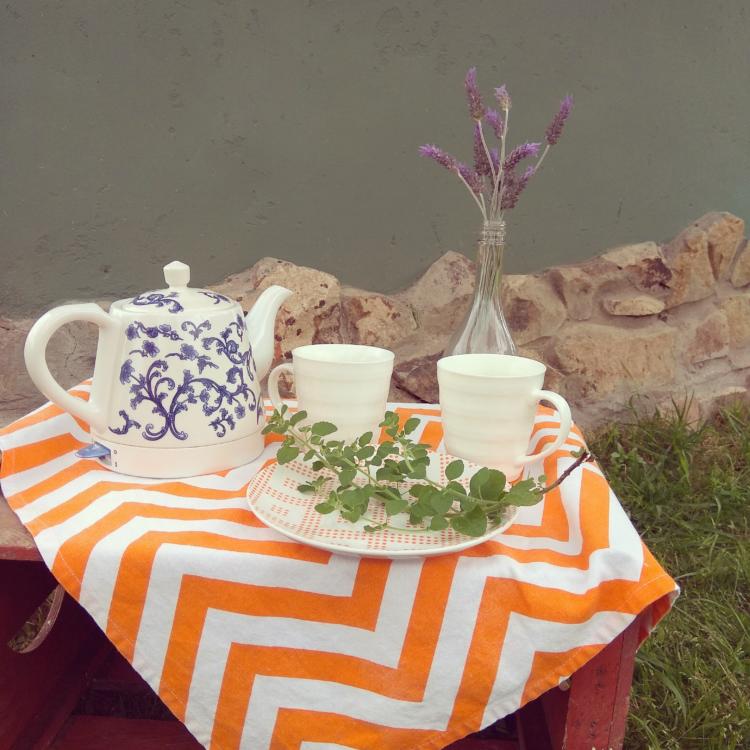 De Piriápolis al mundo: una búsqueda personal que se transformó en negocio sostenible