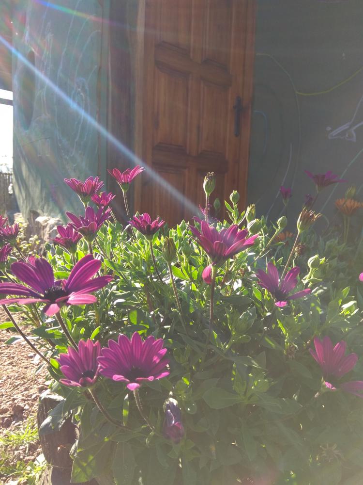 De Piriápolis al mundo: una búsqueda personal que se transformó en negocio sostenible