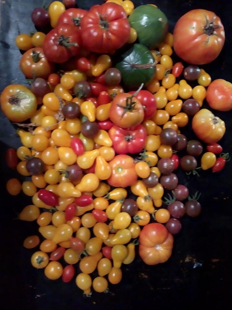 Trini recibe visitantes y cocina para ellos en Udaquiola, donde los cielos permanecen puros