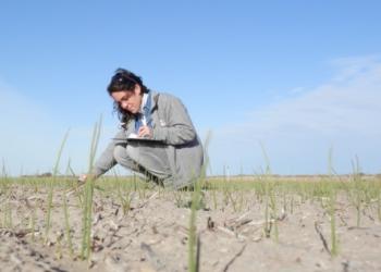 ¡Falta el agua! En el valle del Río Colorado ya se teme por la próxima siembra de cebolla