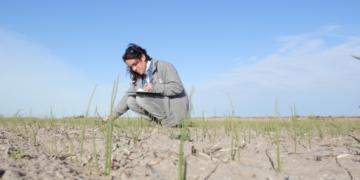 ¡Falta el agua! En el valle del Río Colorado ya se teme por la próxima siembra de cebolla