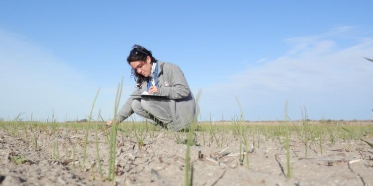 ¡Falta el agua! En el valle del Río Colorado ya se teme por la próxima siembra de cebolla