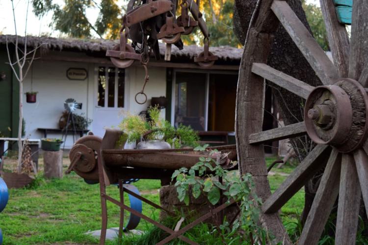 Sergio y Mónica son productores de cerdos a campo: “El problema más importante es la falta de políticas a largo plazo”