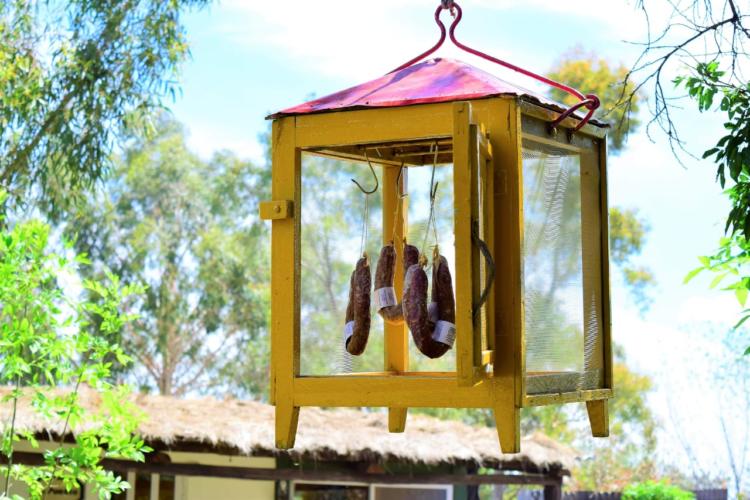 Sergio y Mónica son productores de cerdos a campo: “El problema más importante es la falta de políticas a largo plazo”