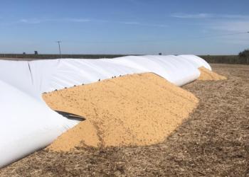 José Maulión, que alquila todos los campos que trabaja, cuenta qué siente un productor cuando le tajean un silobolsa