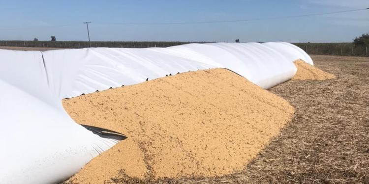 José Maulión, que alquila todos los campos que trabaja, cuenta qué siente un productor cuando le tajean un silobolsa