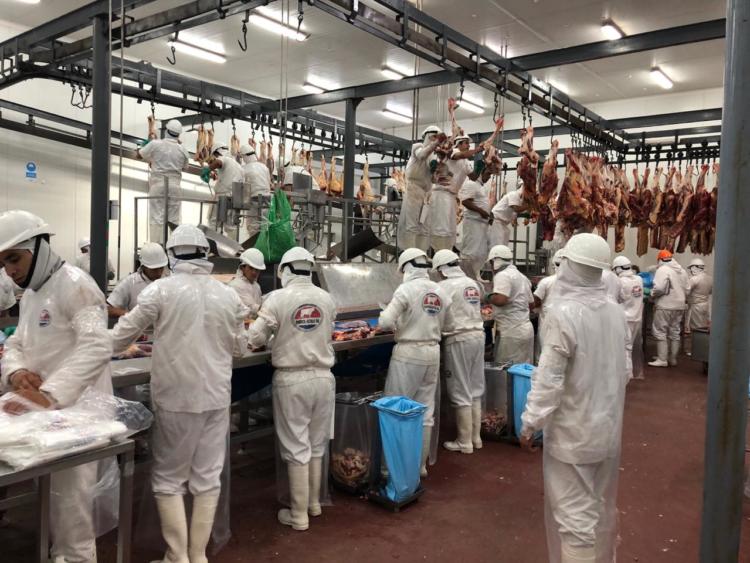 En Santiago del Estero, a un enorme feedlot le roban ganado a discreción: La carne se vende sin control sanitario en los pueblos de la zona