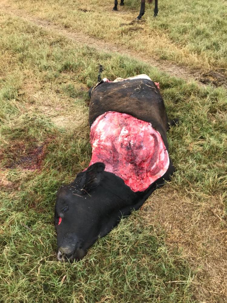 En Santa Fe “no hay productor que no haya sufrido algún hecho de inseguridad”, afirma Ignacio Mántaras