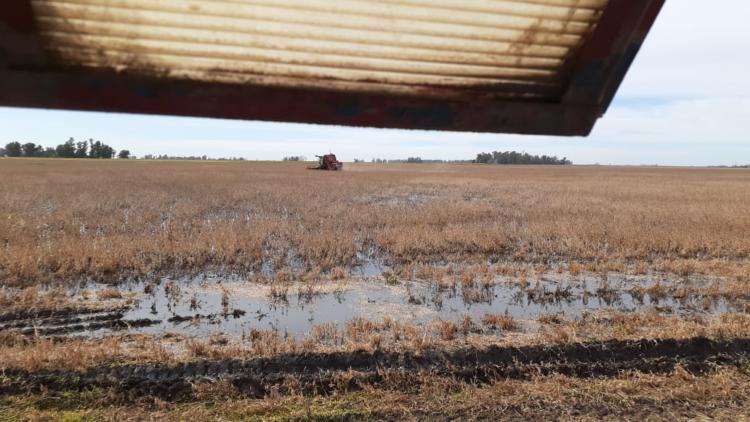 Fernando Carretero, productor inundado de Urdampilleta: “No pido un transbordador espacial sino que limpien 500 metros de canal”