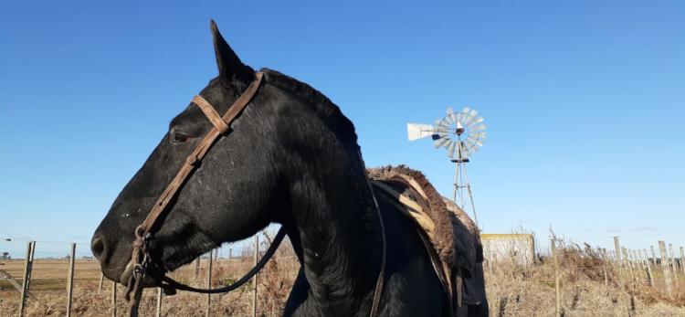 Fernando Carretero, productor inundado de Urdampilleta: “No pido un transbordador espacial sino que limpien 500 metros de canal”