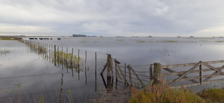 Fernando Carretero, productor inundado de Urdampilleta: “No pido un transbordador espacial sino que limpien 500 metros de canal”