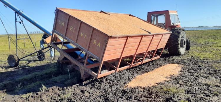 Fernando Carretero, productor inundado de Urdampilleta: “No pido un transbordador espacial sino que limpien 500 metros de canal”