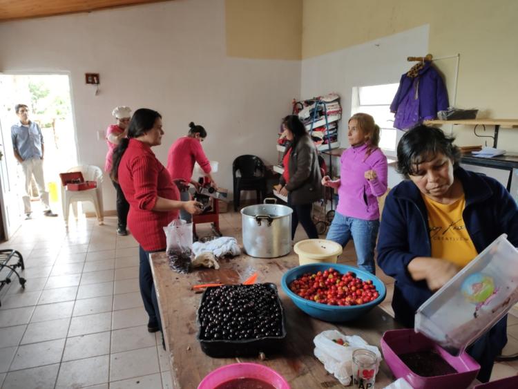 Impulsan la cosecha de frutas nativas para conservar el monte y generar ingresos para las familias de colonos de Misiones