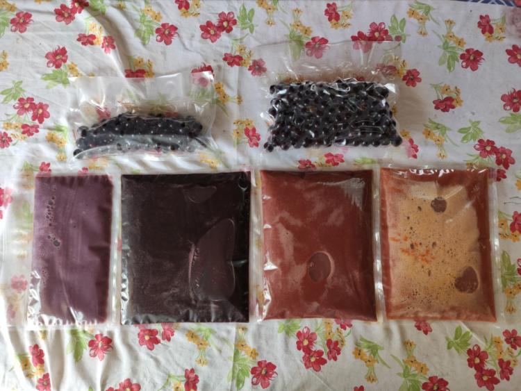 Impulsan la cosecha de frutas nativas para conservar el monte y generar ingresos para las familias de colonos de Misiones