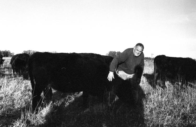 Sin culpables: Marcelo Gianoli produce en la capital nacional del ternero, que está asediada por los casos de abigeato