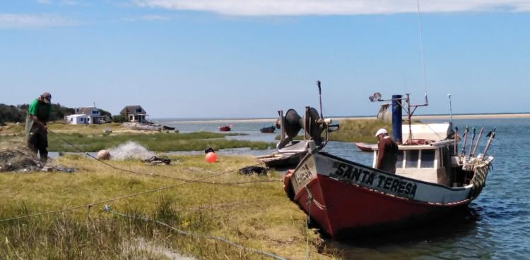 Rodrigo García Píngaro promueve cambiar las redes por jaulas: “Con el actual sistema de pesca mueren 12 mil tiburones por hora”
