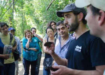 Gonzalo Romano: “Se puede vivir de producir hongos, pero no antes de los tres años de haber arrancado”