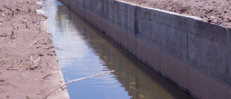 ¡Falta el agua! “Está mal pensar que este es un problema solo de los regantes”, dice la experta Marcela Andino