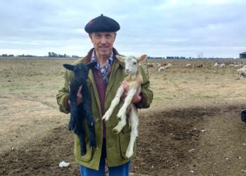 Enrique Capdevielle tiene un tambo ovino y cumplió el sueño de vender quesos con marca propia