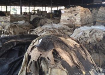 Alberto toma una medida que le había derogado a Macri: Que sí, que no, que ahora los cueros te los saco yo…