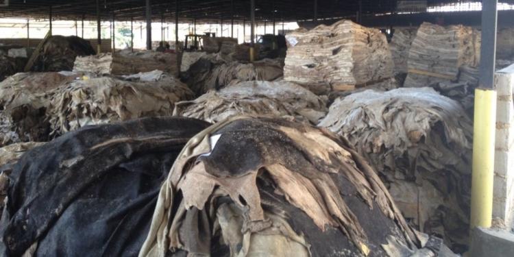 Alberto toma una medida que le había derogado a Macri: Que sí, que no, que ahora los cueros te los saco yo…