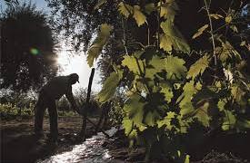 Desde su finca en San Rafael, Raúl Real apunta que la Ley de Emergencia Agropecuaria no les sirve a los productores afectados por la falta de nevadas