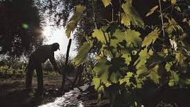 Desde su finca en San Rafael, Raúl Real apunta que la Ley de Emergencia Agropecuaria no les sirve a los productores afectados por la falta de nevadas