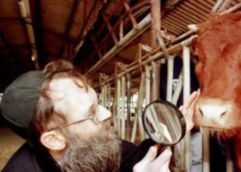 Todos festejan la llegada de los rabinos… ¿Pero a qué vienen? ¿Y por qué afilan tanto el cuchillo?