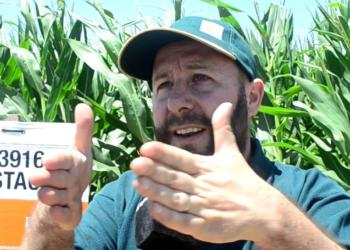 Federico Larrosa, de la semillera KWS, se define como un enamorado del maíz: “Es un transformador de sociedades”