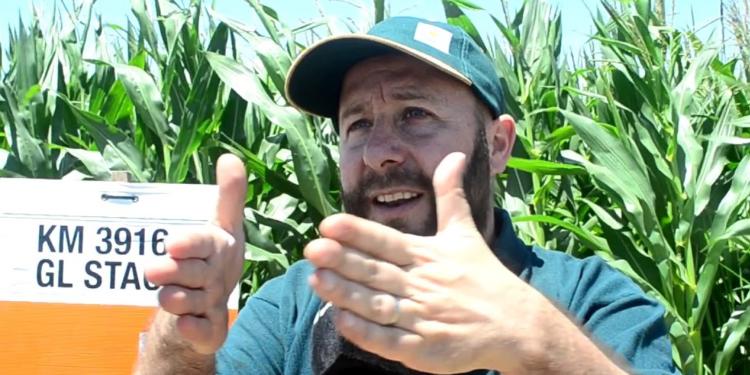 Federico Larrosa, de la semillera KWS, se define como un enamorado del maíz: “Es un transformador de sociedades”