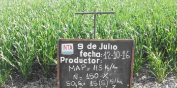Las razones de tanto nervio: La Argentina gasta más de 1.000 millones de dólares en importar fertilizantes