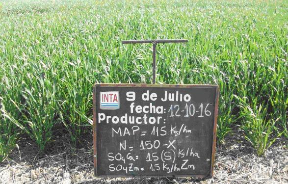 Las razones de tanto nervio: La Argentina gasta más de 1.000 millones de dólares en importar fertilizantes