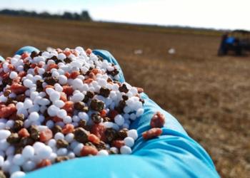 Tironeos con el Banco Central: Las empresas de insumos dan por normalizado el abastecimiento, y a dólar oficial